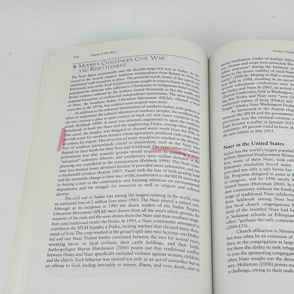 Culture Sketches: Case Studies in Anthropology 6th Sixth Edition Peters-Golden - Picture 8 of 8